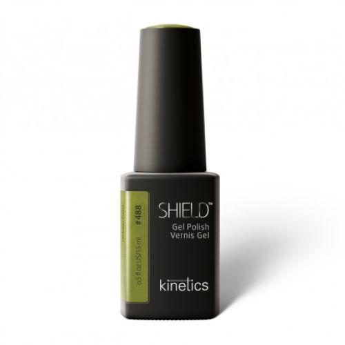 kinetics - SHIELD KGP488N - HIDDEN GEM