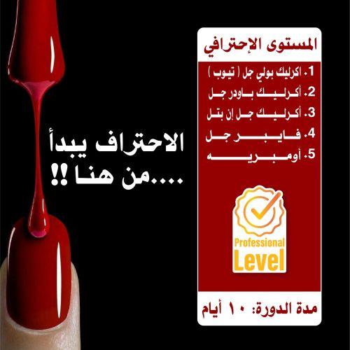 Courses - Professional  Level 